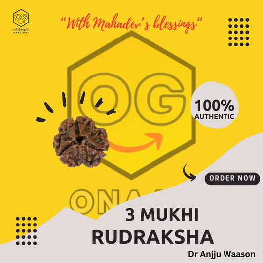 3 Mukhi Rudraksha Onar Gracious