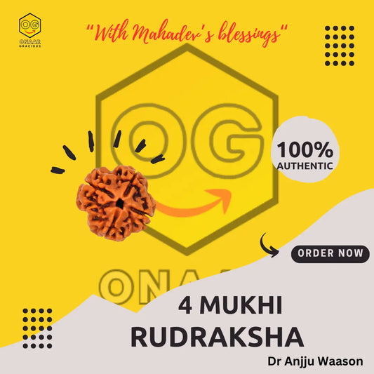 Rudraksha 4 mukhi Onar Gracious