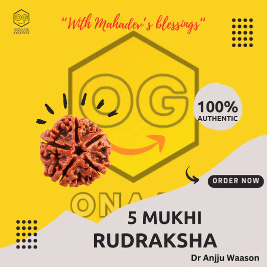 Rudraksha 5 mukhi Onar Gracious