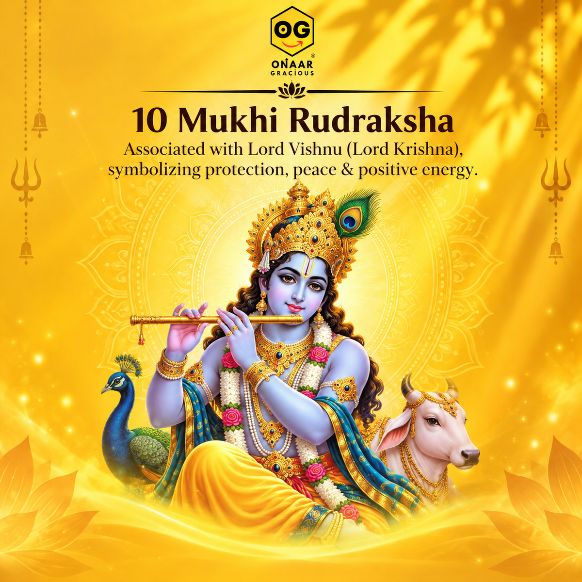 RUDRAKSHA 10 MUKHI Onar Gracious