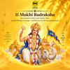 Rudraksha 11 Mukhi Onar Gracious