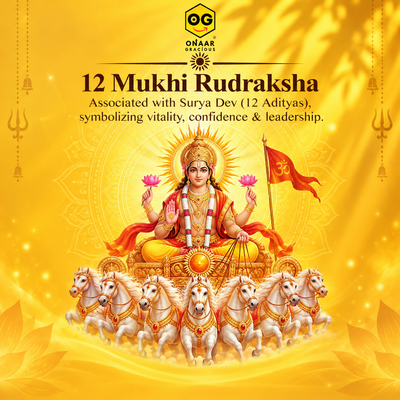 Rudraksha 12 mukhi Onar Gracious