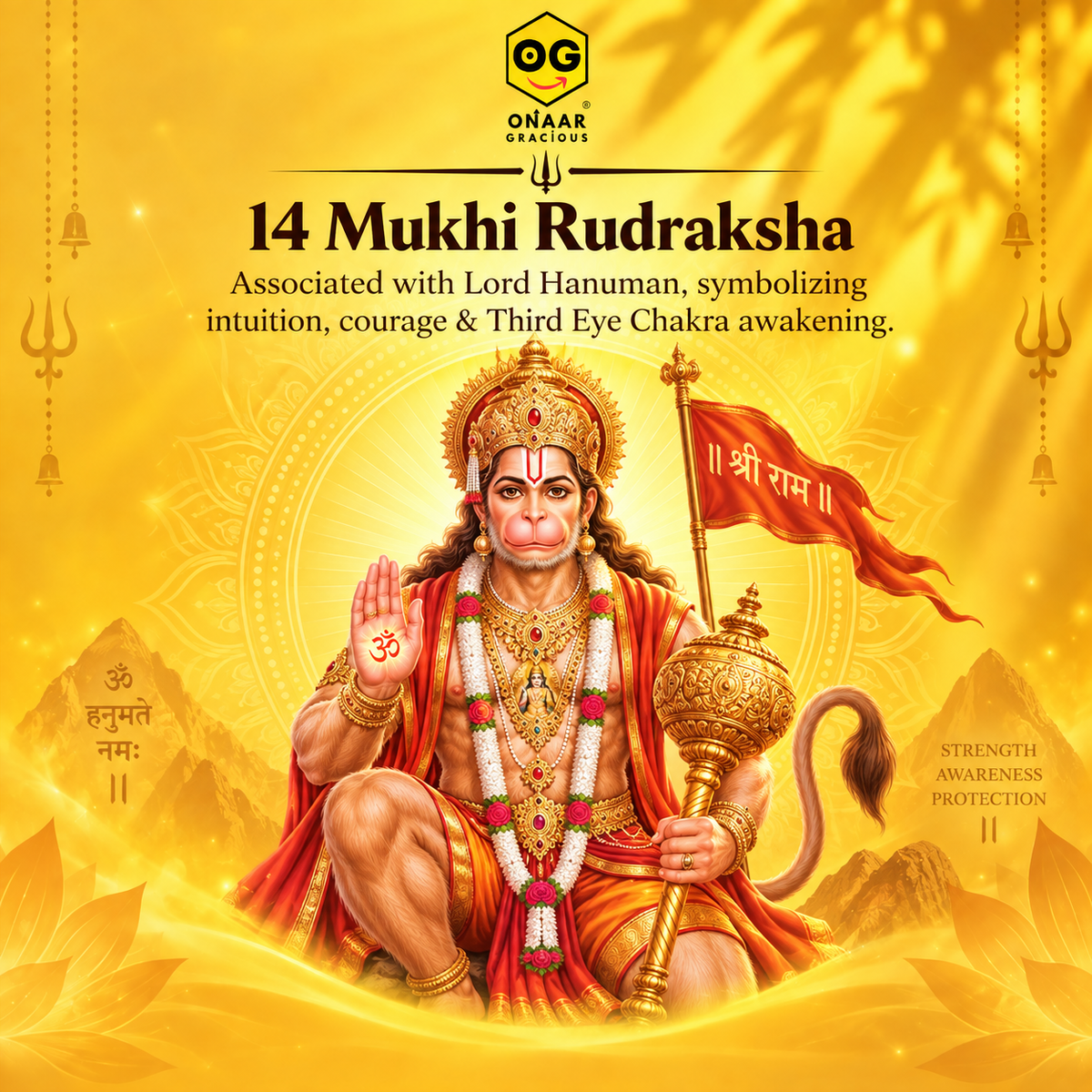 Rudraksha 14 mukhi Onar Gracious