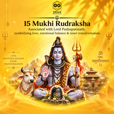 Rudraksha 15 mukhi Onar Gracious