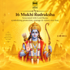 Rudraksha 16 mukhi Onar Gracious