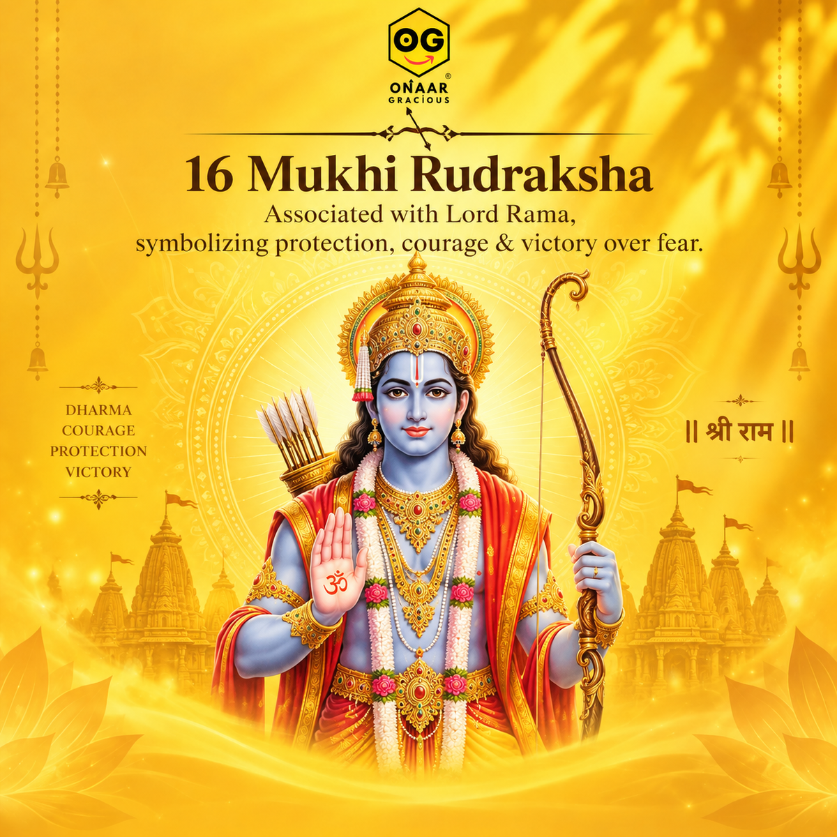 Rudraksha 16 mukhi Onar Gracious