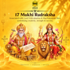 17 Mukhi Rudraksha Onaar Gracious