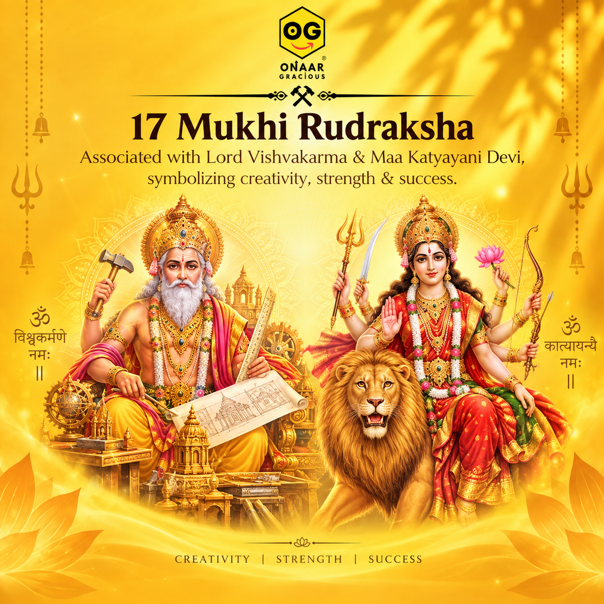 17 Mukhi Rudraksha Onaar Gracious