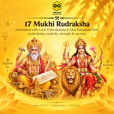 17 Mukhi Rudraksha Onaar Gracious