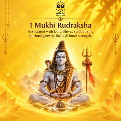 1 Mukhi Rudraksha Onar Gracious