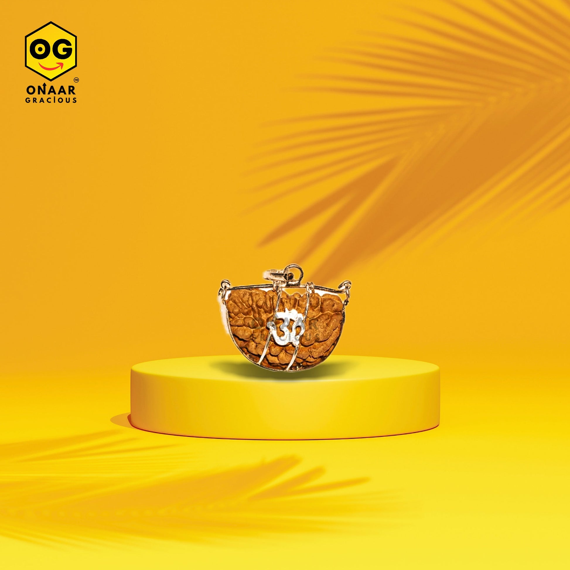 1 Mukhi Rudraksha Onar Gracious