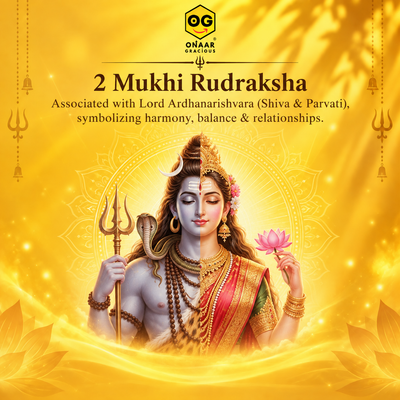 2 Mukhi Rudraksha Onar Gracious