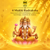 Rudraksha 4 mukhi Onar Gracious