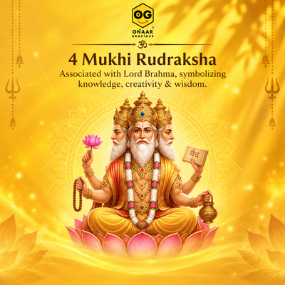 Rudraksha 4 mukhi Onar Gracious