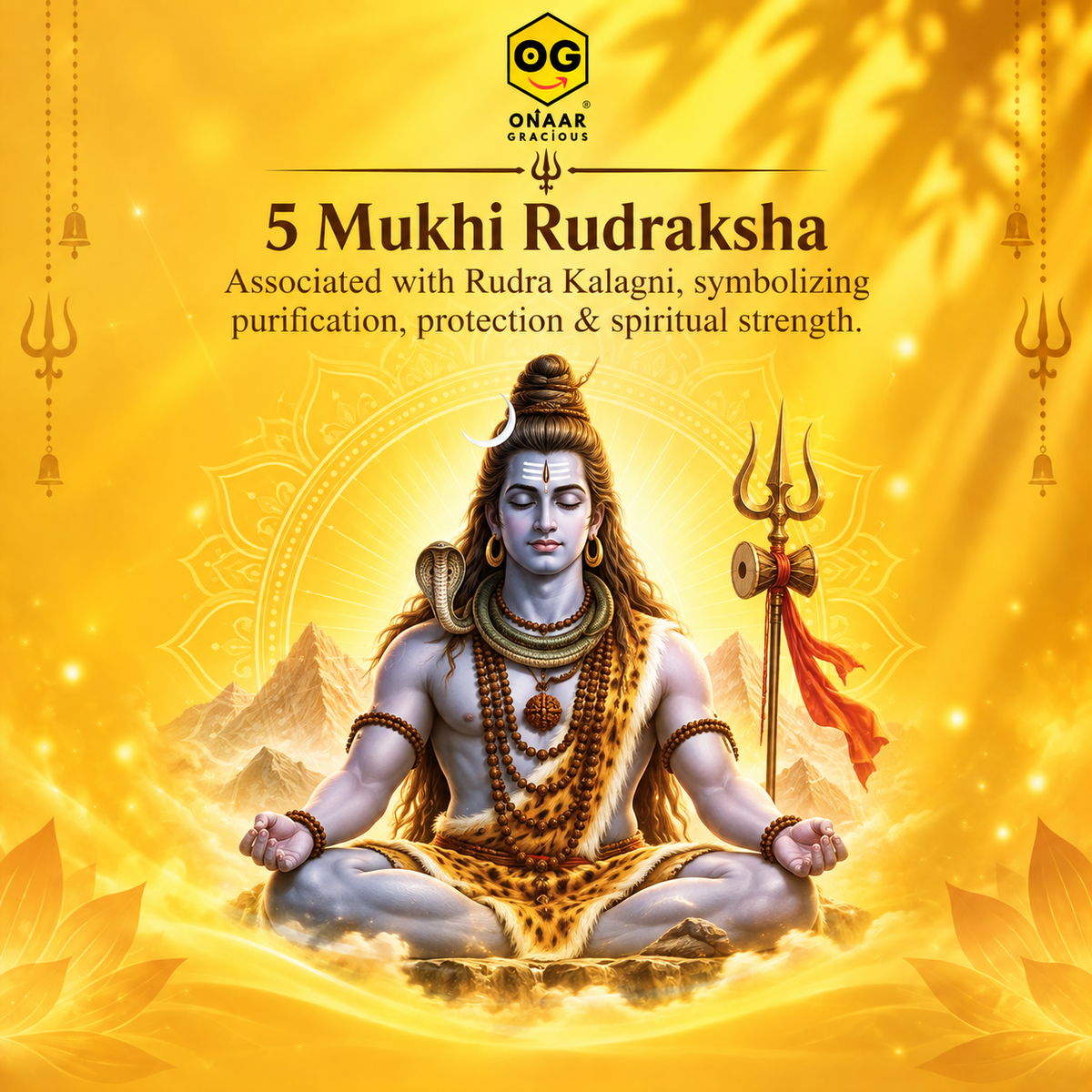 Rudraksha 5 mukhi Onar Gracious
