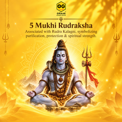 Rudraksha 5 mukhi Onar Gracious