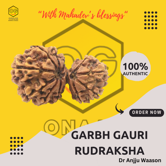 Garbh Gauri Rudraksha Onar Gracious