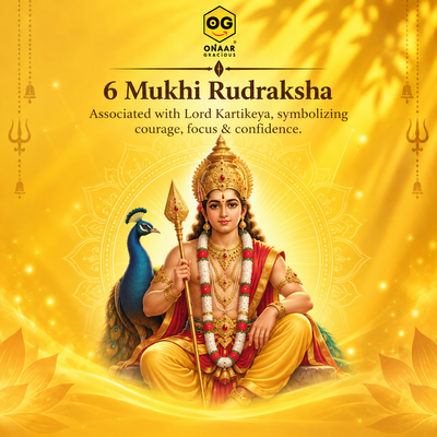 Rudraksha 6 mukhi Onar Gracious