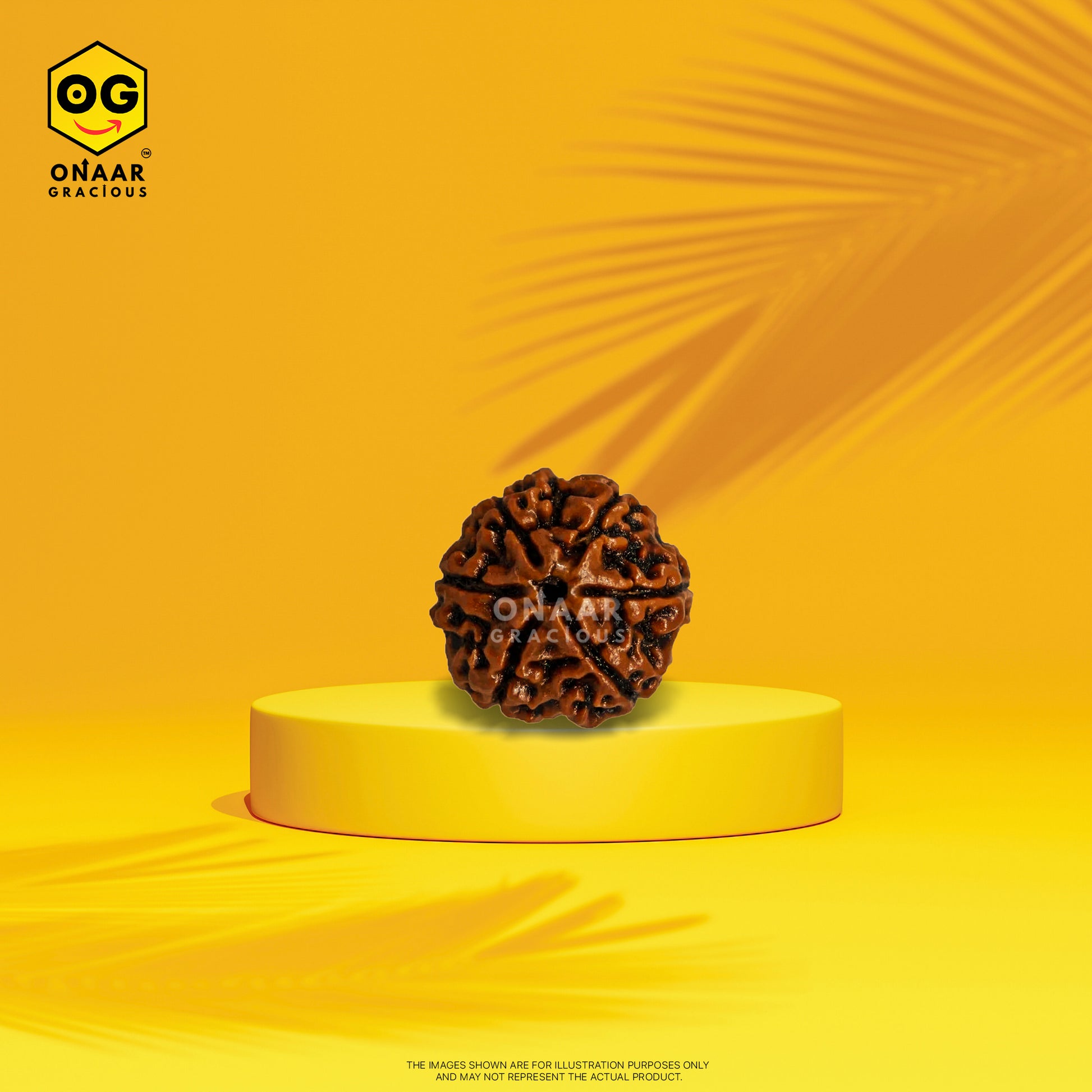 Brown rudraksha on a yellow platform with 'Onaar Gracious' branding against a yellow background.