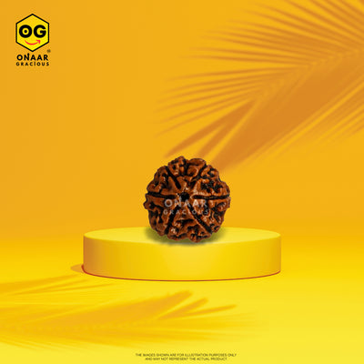 Brown rudraksha on a yellow platform with 'Onaar Gracious' branding against a yellow background.