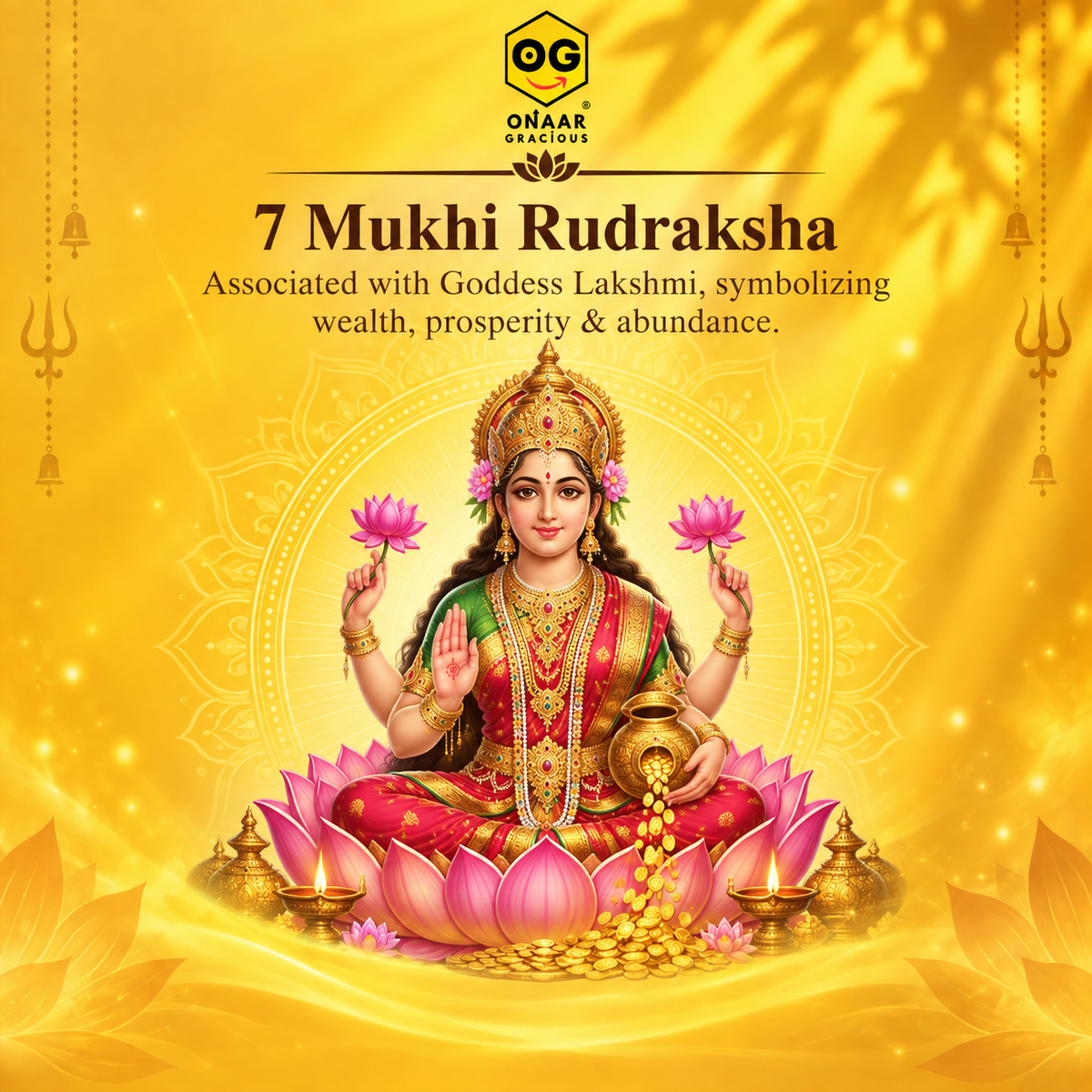 Rudraksha 7 Mukhi Onar Gracious