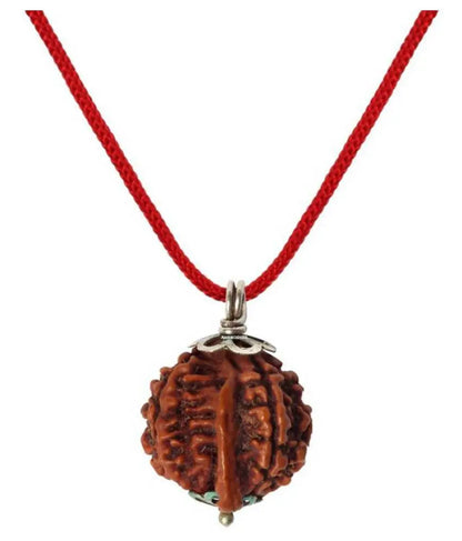 Ganesh Rudraksha Onar Gracious