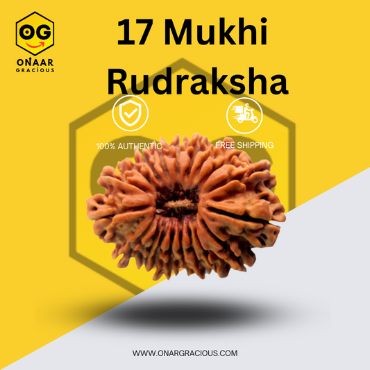 17 Mukhi Rudraksha Onaar Gracious