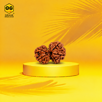 Gauri Shankar Rudraksha Onar Gracious