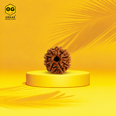RUDRAKSHA 10 MUKHI Onar Gracious