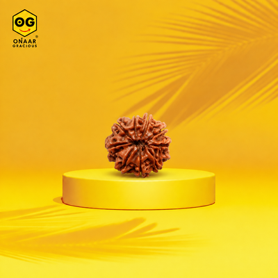 RUDRAKSHA 9 MUKHI Onar Gracious
