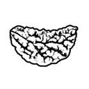 Black and white line drawing of a rudraksha