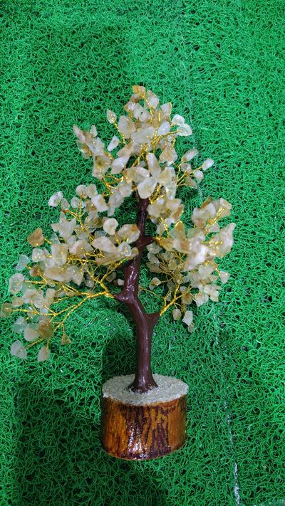 Citrine Tree Onaar Gracious
