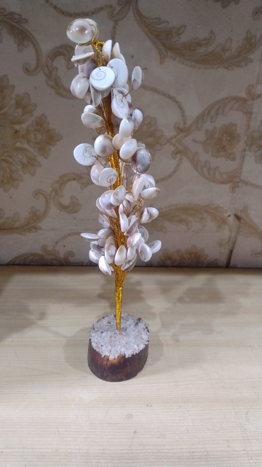 Gomti Chakra Tree Onaar Gracious