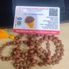 7 mukhi jaap mala (7.5-8mm) Onaar Gracious
